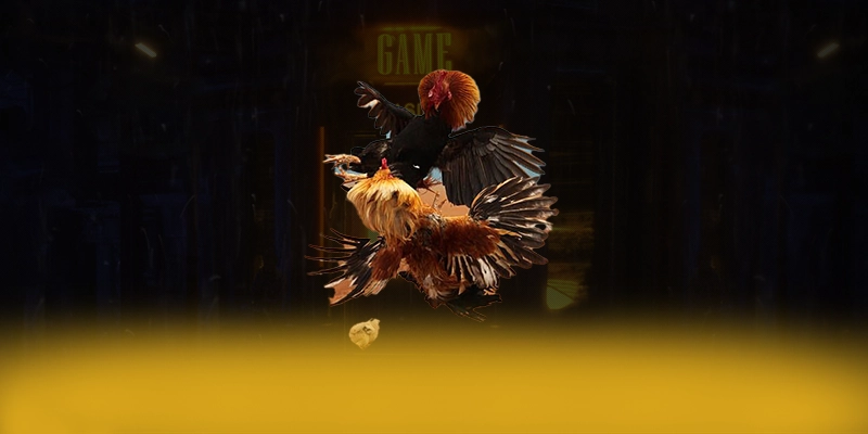 UU88 - Nền tảng cá cược trực tuyến cam kết bảo vệ người chơi tuyệt đối tại Việt Nam – Khám phá sự an toàn và minh bạch tại UU88