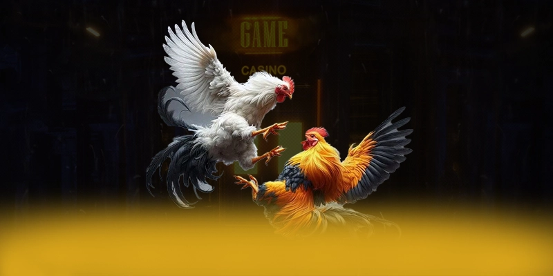 N88 - Sân chơi phổ biến hàng đầu đang làm mưa làm gió