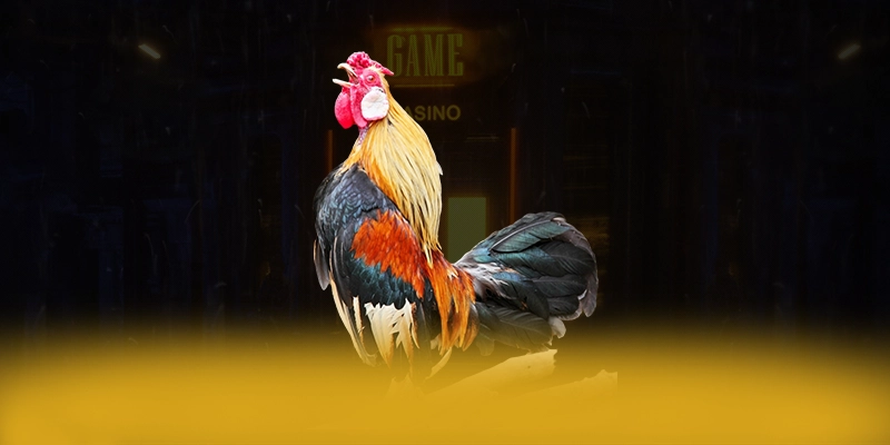 
Trải nghiệm KUWIN - Sảnh game hàng đầu Việt Nam được giới cược thủ tin tưởng
