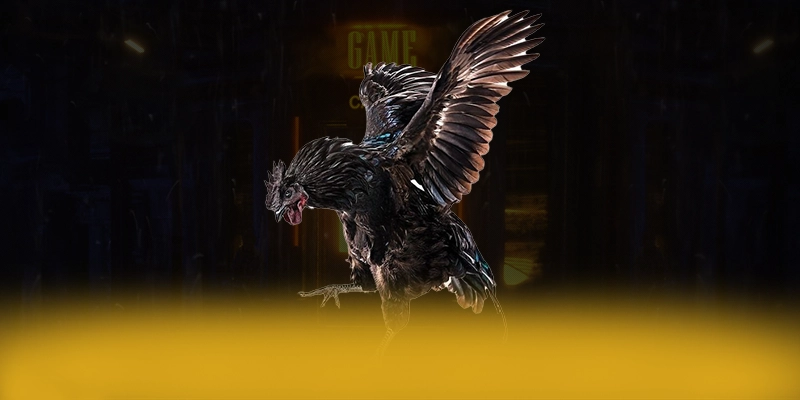 tài xỉu online - Nhận định cuối cùng theo đánh giá từ người dùng.