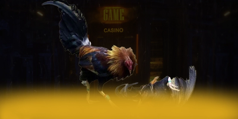 KUWIN - Ứng dụng giải trí quy tụ nhiều siêu phẩm hot được yêu thích nhất – Trải nghiệm KUWIN