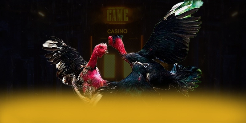 tài xỉu online – Cổng game hàng đầu Việt Nam, được cộng đồng game thủ tin tưởng.