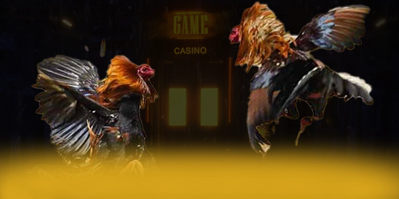 789WIN - Cổng trò chơi được đánh giá cao đang làm mưa làm gió