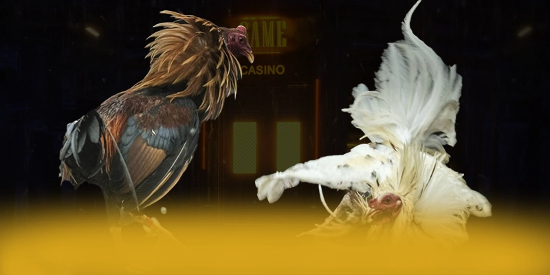 GA6789 - Trang game được đánh giá cao về độ tin cậy được người chơi tin dùng – Cùng tìm hiểu GA6789 GA6789 - Trang game được đánh giá cao về độ tin cậy được người chơi tin dùng – Cùng tìm hiểu GA6789