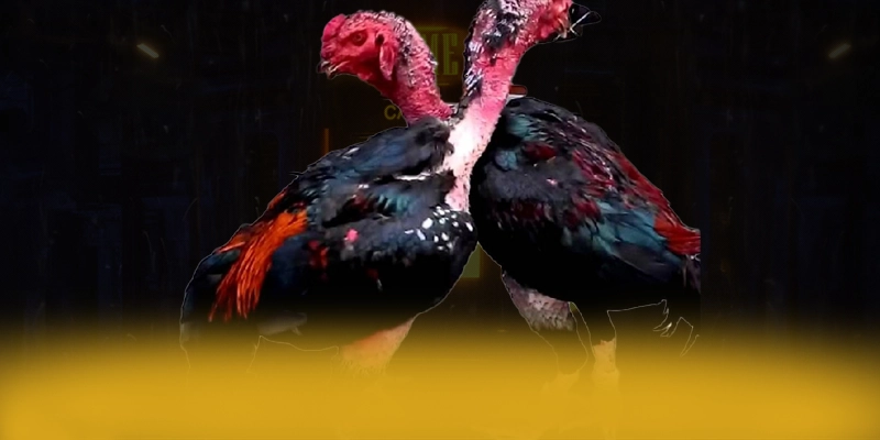 789P – Cổng trò chơi chất lượng, được giới cược thủ đánh giá cao. 789P – Cổng trò chơi chất lượng, được giới cược thủ đánh giá cao.