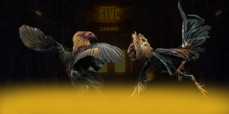 ĐÁ GÀ TRỰC TIẾP – Thương hiệu đáng chơi nhất, khẳng định vị thế hàng đầu tại Việt Nam.