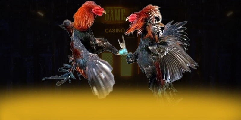 CONGA6789 - Sân chơi an toàn được đánh giá cao – Khám phá cam kết an toàn của CONGA6789