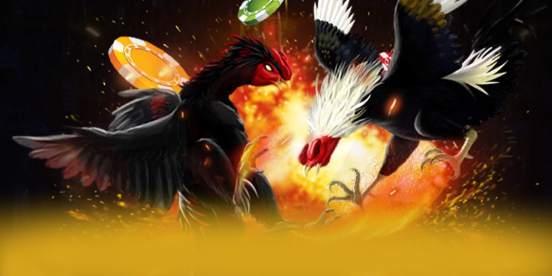 CONGA6789 - Khẳng định vị thế từ cộng đồng game thủ.