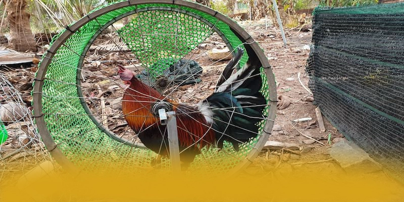 UU88 – Thương hiệu an toàn tuyệt đối, được cộng đồng đánh giá tích cực. UU88 – Thương hiệu an toàn tuyệt đối, được cộng đồng đánh giá tích cực.