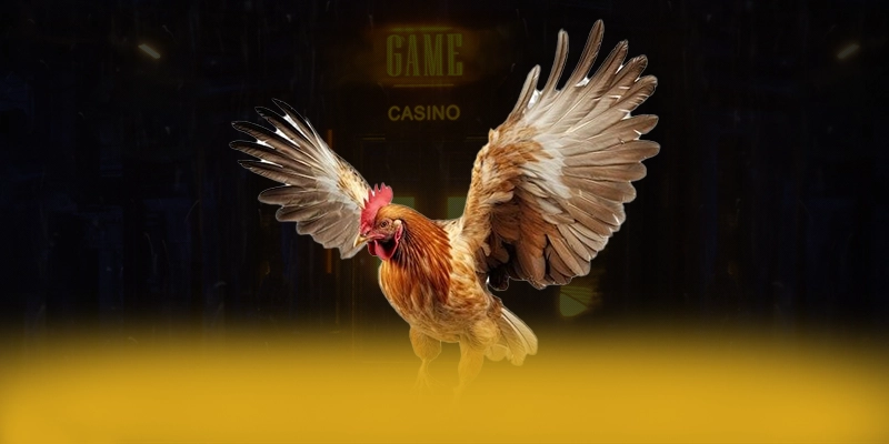 soi kèo bóng đá - San choi duoc game thu yeu thich tai Viet Nam soi kèo bóng đá - San choi duoc game thu yeu thich tai Viet Nam