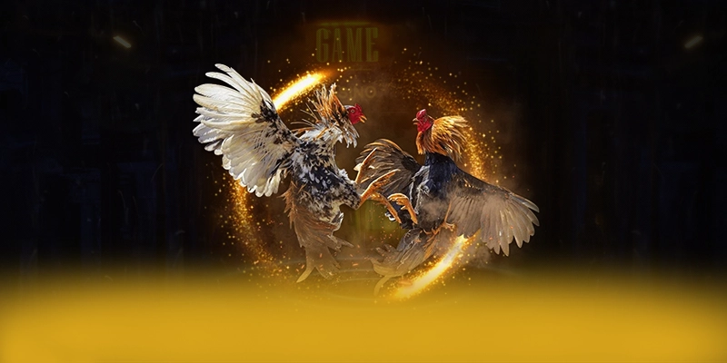 Tim hieu 8xbet - Cong giai tri duoc tin dung tren thi truong