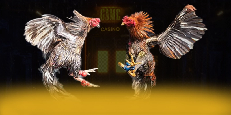 soi kèo bóng đá - Cong game bai toc do cao so 1 Viet Nam soi kèo bóng đá - Cong game bai toc do cao so 1 Viet Nam