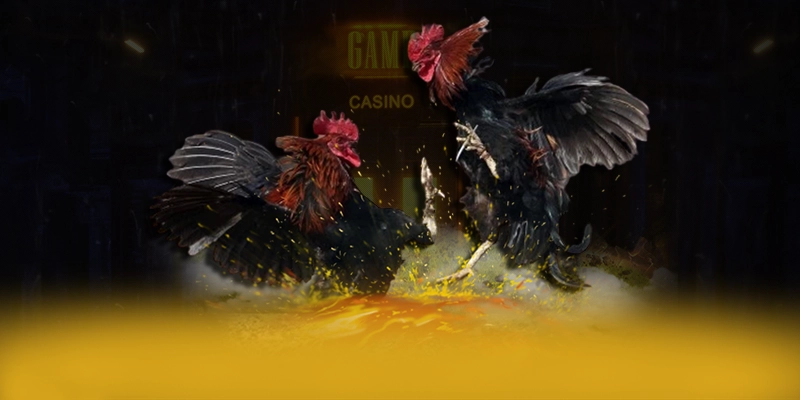 BU88 - Sảnh game tốc độ cao cả điện thoại lẫn máy tính