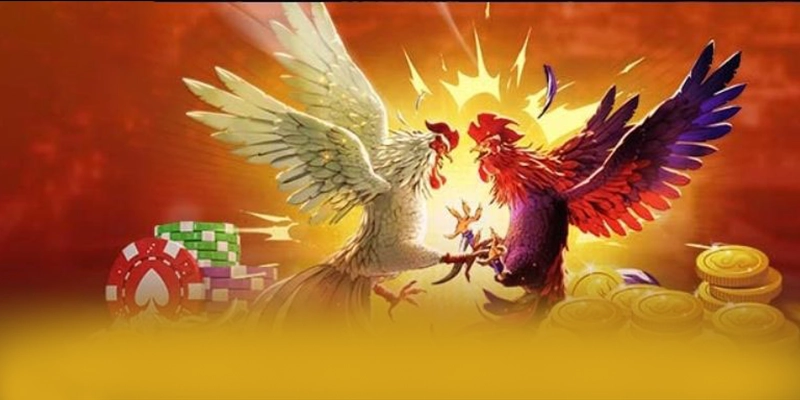 COLATV - Cổng thể thao sở hữu hệ thống live betting hồi hộp nhất