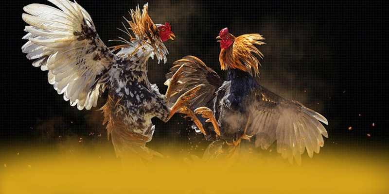 8XBET - Sân chơi có danh mục game hấp dẫn tại Việt Nam